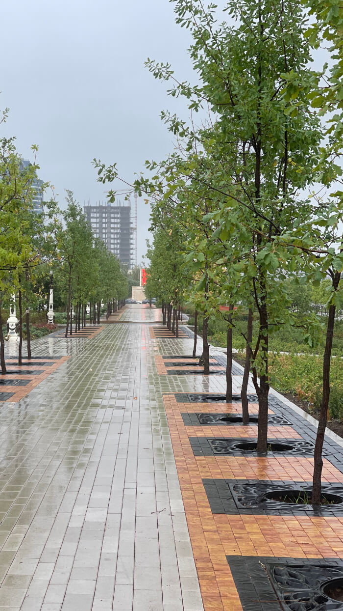 Приствольная решетка для дерева ZKING CRUST 1.2х1.2м Черная в Орехово-Зуево фото