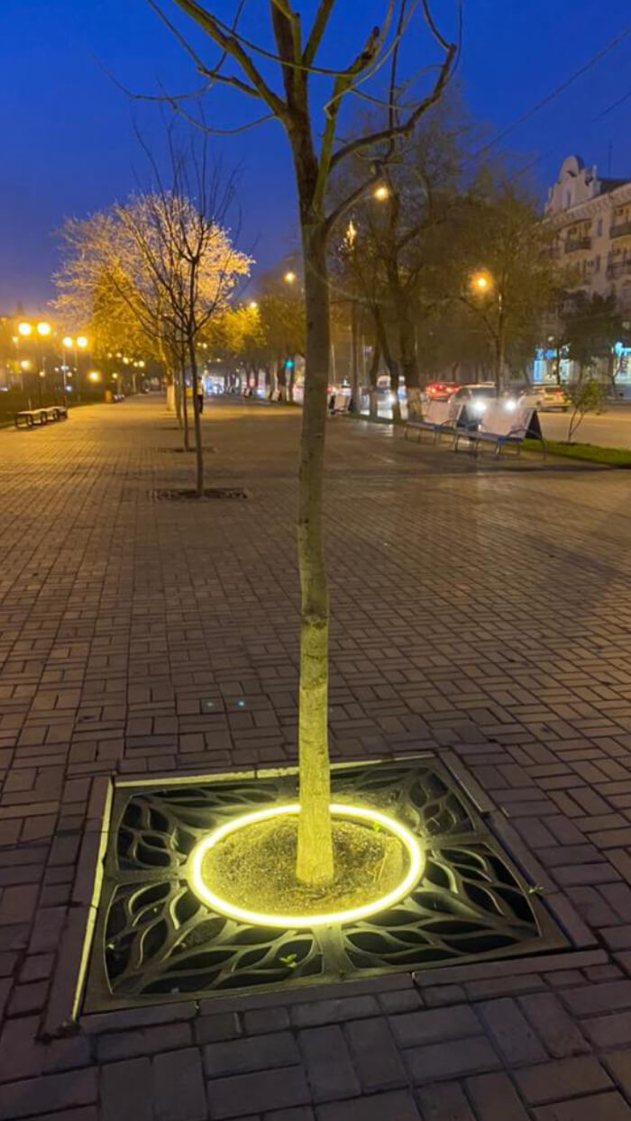 Приствольная решетка для дерева ZKING CRUST 1.2х1.2м Черная в Орехово-Зуево фото